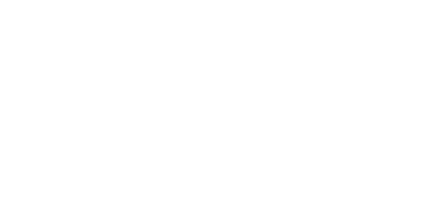 Van den Elzen